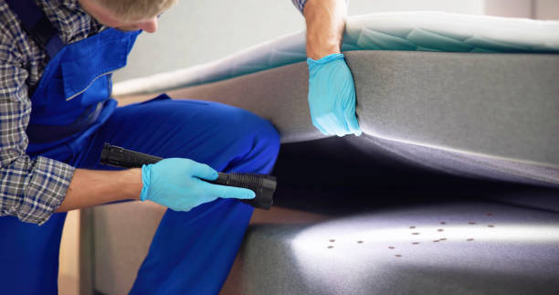 Best Affordable Exterminators  in Hoxie, AR